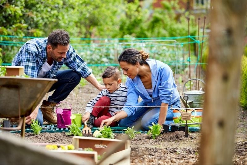 Gardening