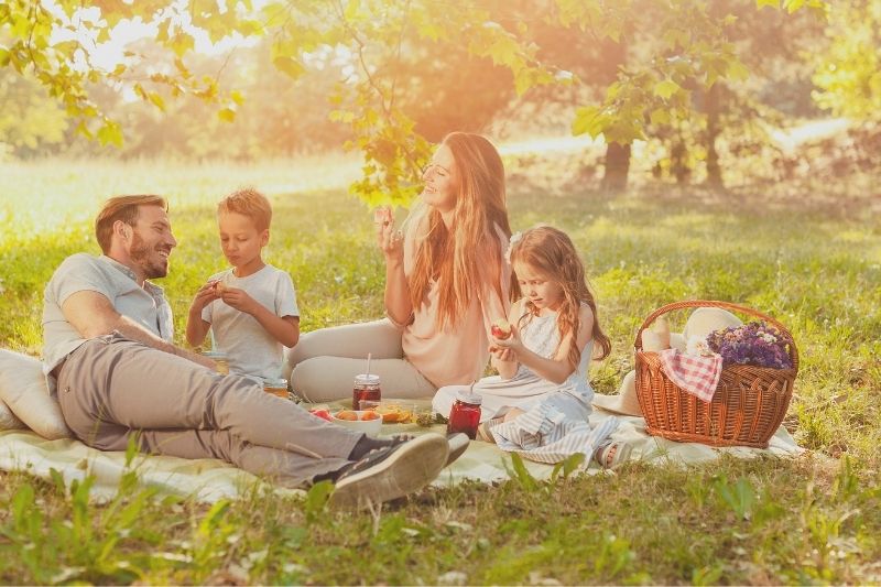 picnic