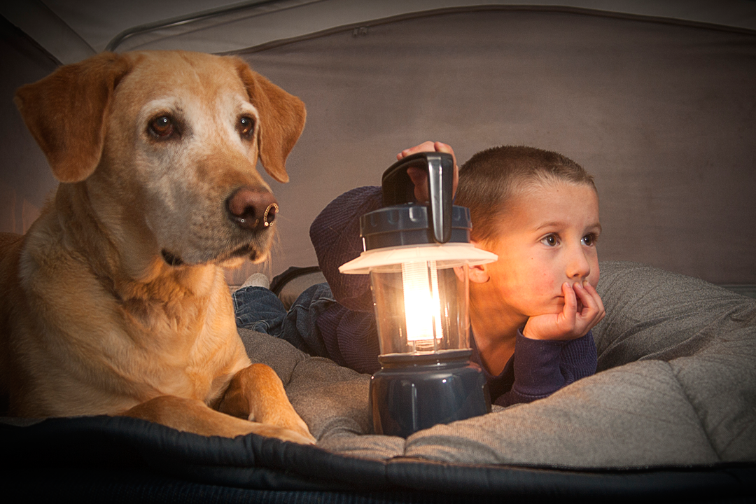 Dog and child