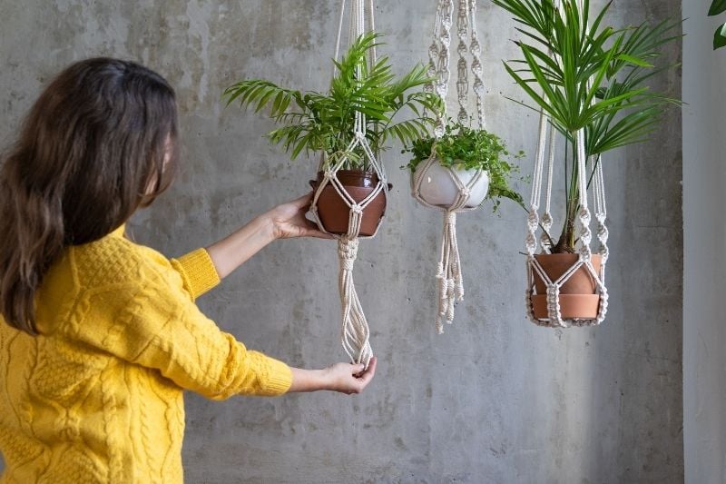 Using hanging plants on the wall