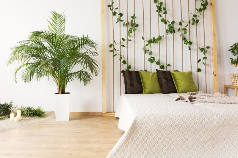 Decorate a bedroom wall with a tree branch