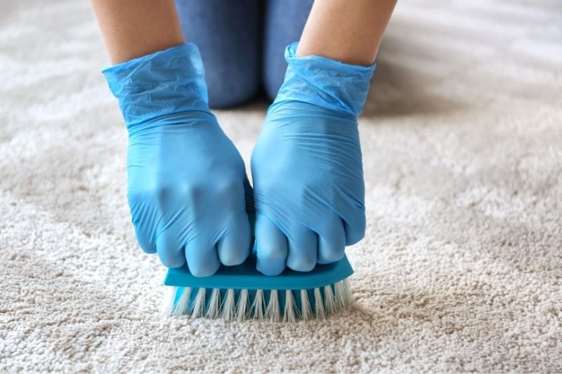 Clean the carpet with a cloth