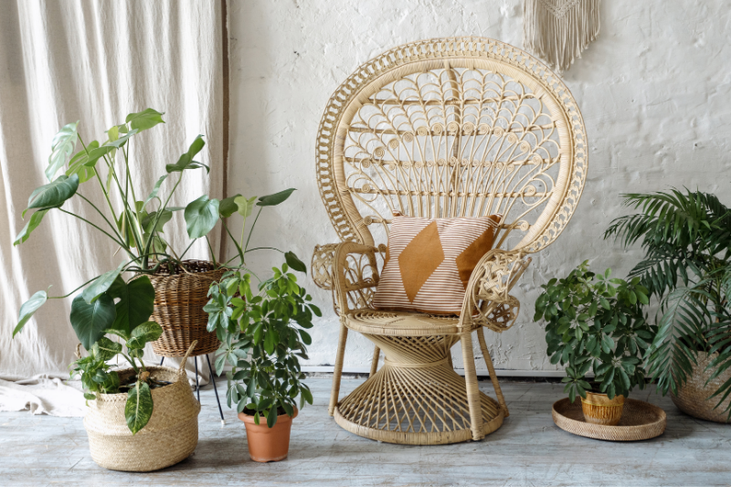 The place of plants in bohemian decor