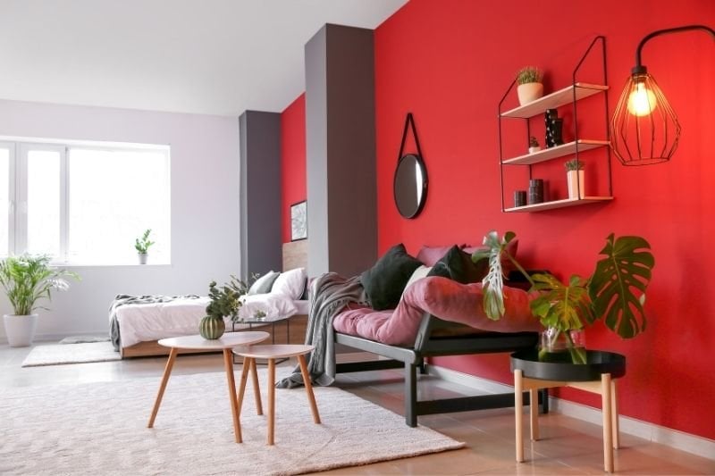 Everything you are looking for about studio apartment decoration